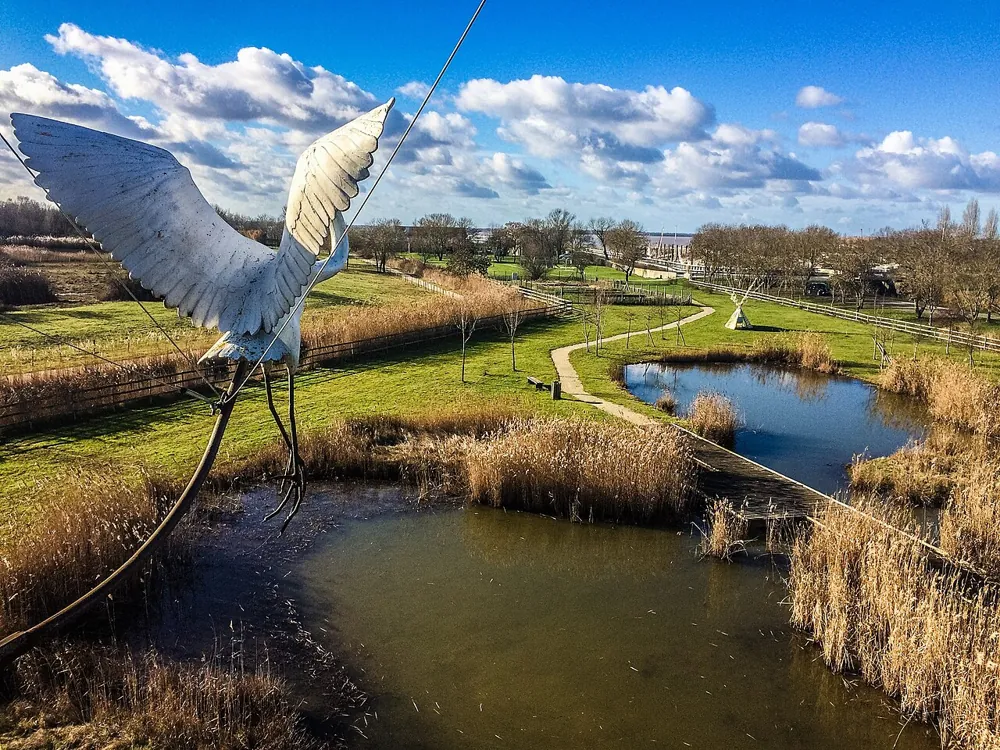 Oiseau et paysages de marais à Terres d’Oiseaux